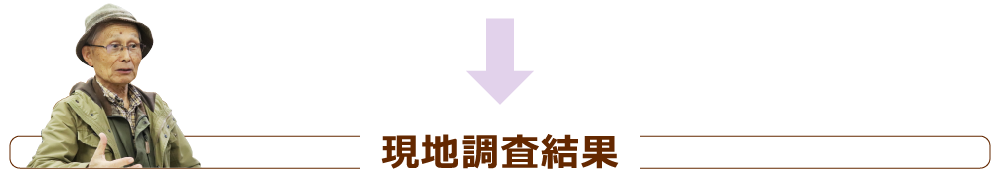 現地調査結果