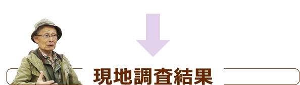 現地調査結果